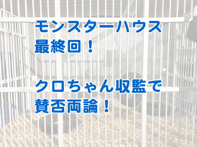 モンスターハウス最終回 クロちゃん監禁で大混乱 あなたは笑えましたか 水曜日のダウンタウン すいすいノート